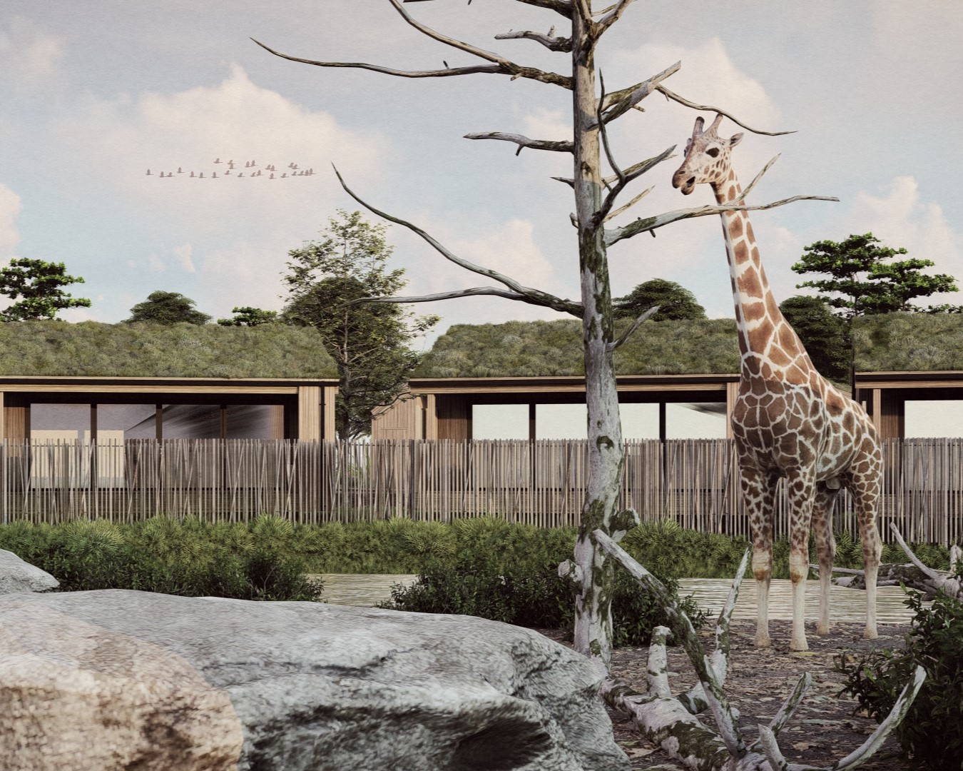 Chester Zoo , Starship, p via press release