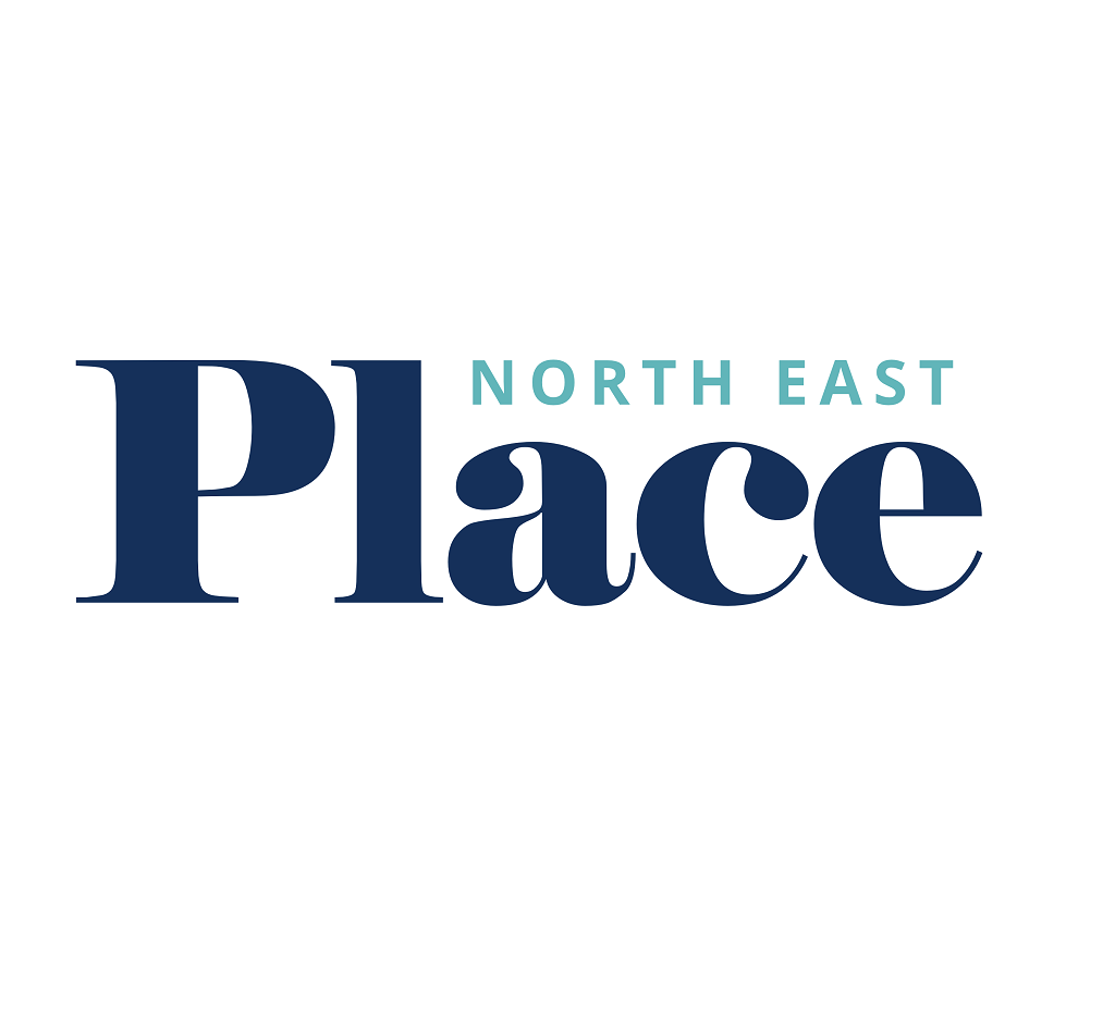 Place North East square logo with space