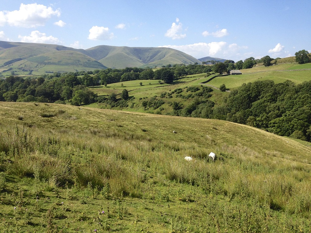 Yorkshire Dales, c Flickr user Andy Harbach via CC BY . bit.ly SLASH DvkREB